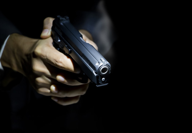 vigilanza armata securpol